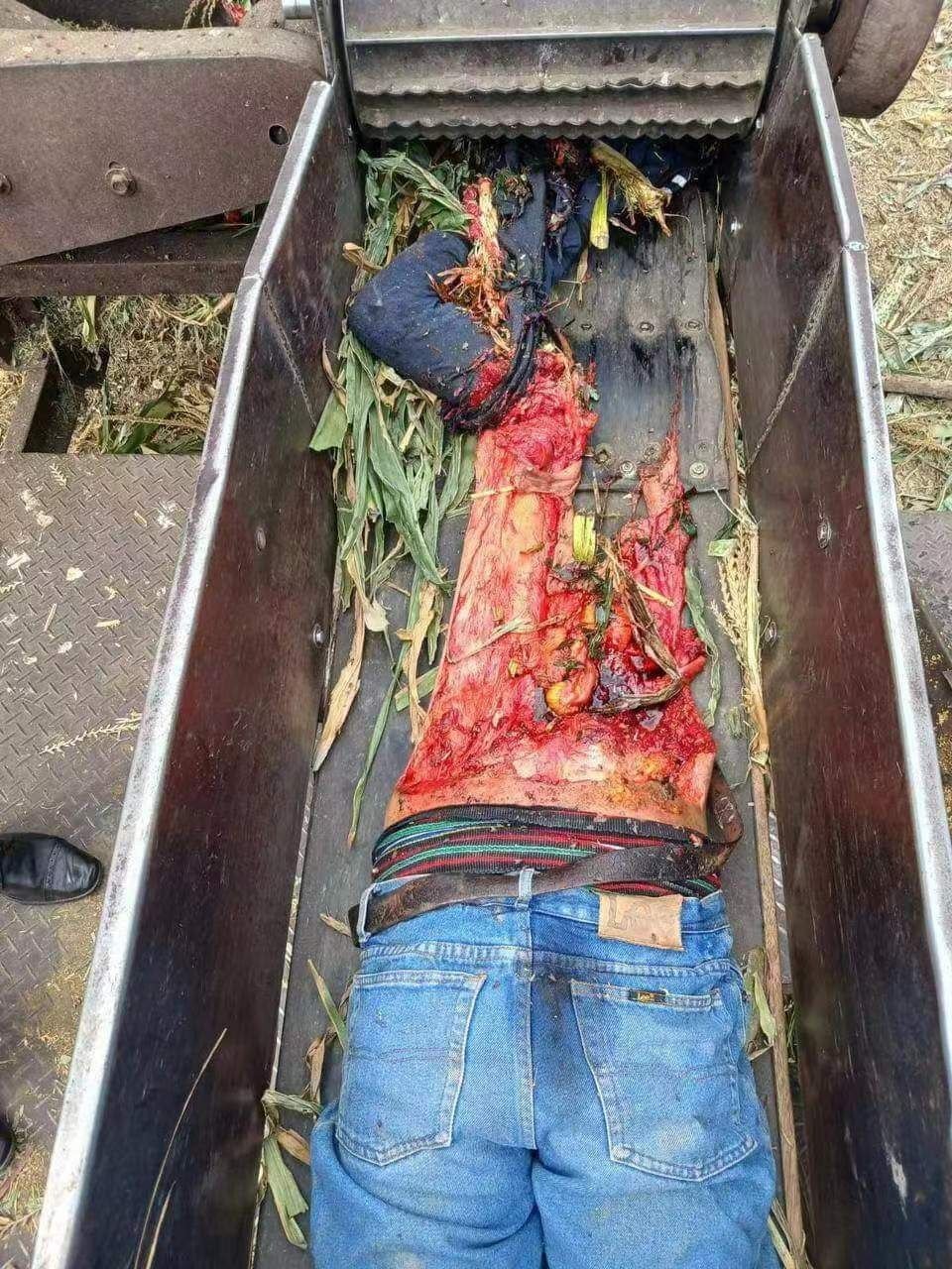 (Aftermath) Food grinder/Farm machinery