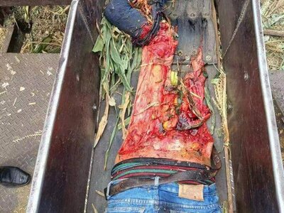 (Aftermath) Food grinder/Farm machinery