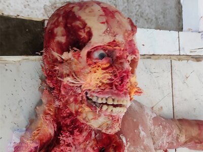 Ukraine Russia War Animal Interference