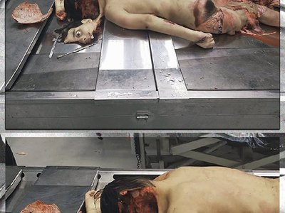 Guy tried to challenge a shark.