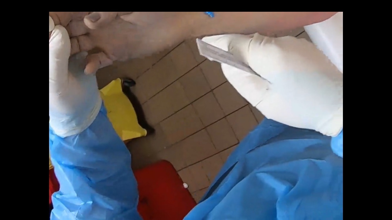 Polish Truck driver examinated at morgue