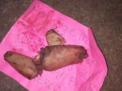 Body of woman dismembered by cartel members in Mexico (Photos)