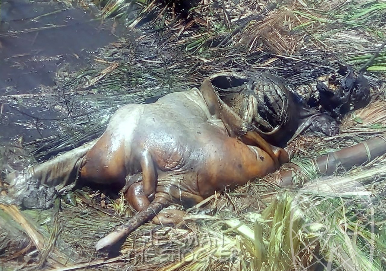 Decomposed body Mexico