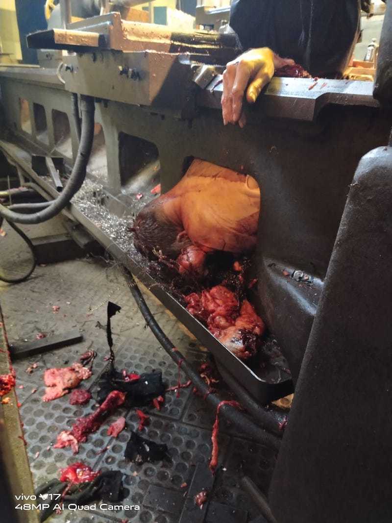 Aftermath pictures of man pulled into lathe