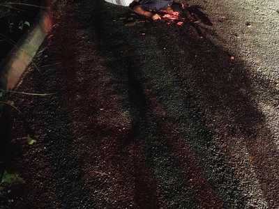 Three different crime scenes (pictures)