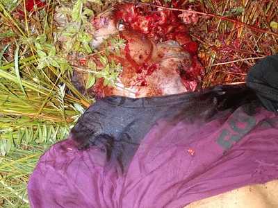 Three different crime scenes (pictures)