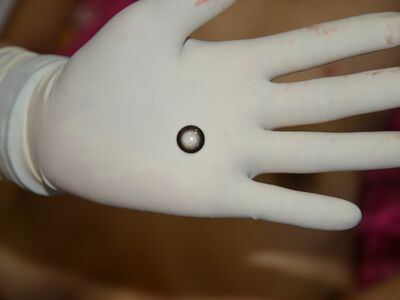 Chinese Mistress Stabbed To Death By Lover.