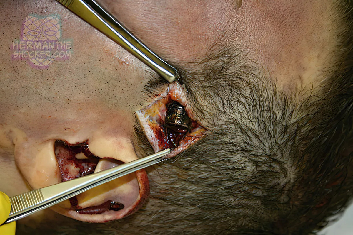 Complex Suicide With Black Powder Muzzle Loading Derringer