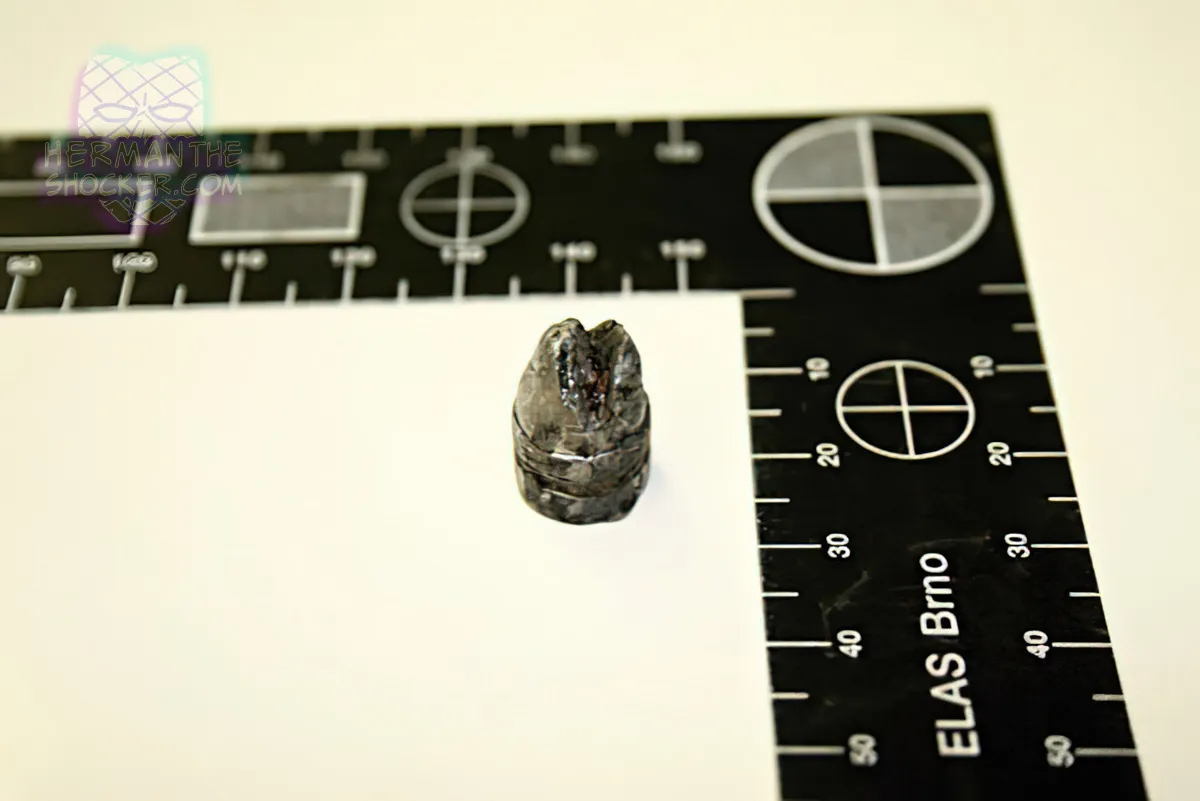 Complex Suicide With Black Powder Muzzle Loading Derringer