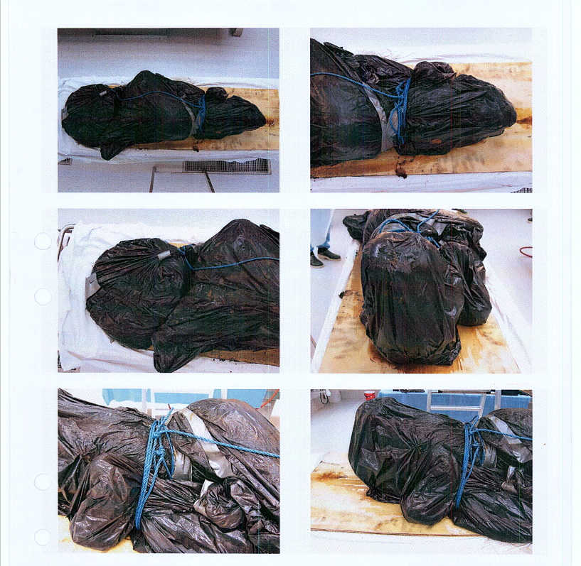 Autopsy images from Christian Larsson case
