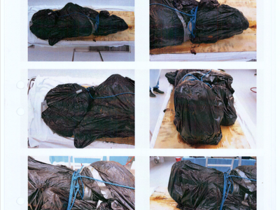 Autopsy images from Christian Larsson case