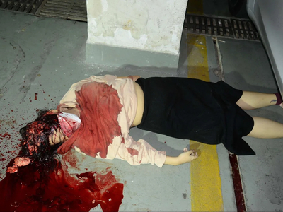 Chinese woman murdered (Examination footage)