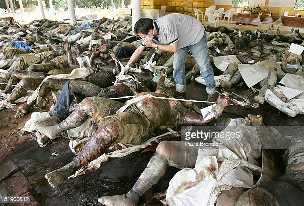 Aftermath of the Indian Ocean Earthquake and Tsunami