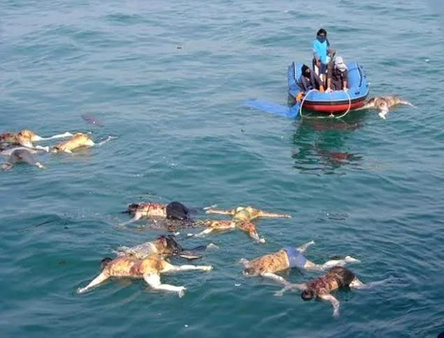 Aftermath of the Indian Ocean Earthquake and Tsunami