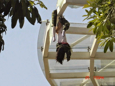 Suicide jumper nearly split in half