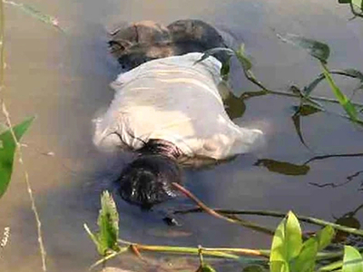 21 Year Old Murder by Drowning Woman Forensic Exam