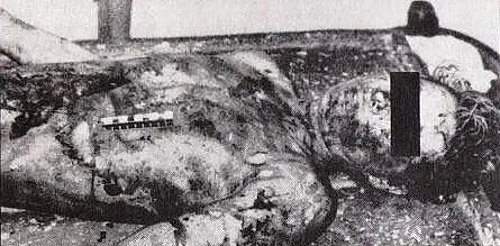 Victims of the “Rostov Ripper”, Andrei Chikatilo