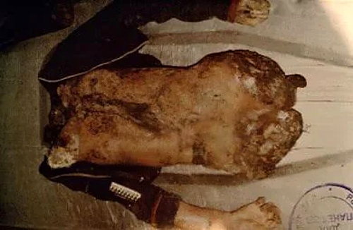 Victims of the “Rostov Ripper”, Andrei Chikatilo