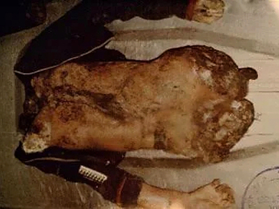 Victims of the “Rostov Ripper”, Andrei Chikatilo