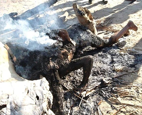 2 Europeans burned alive