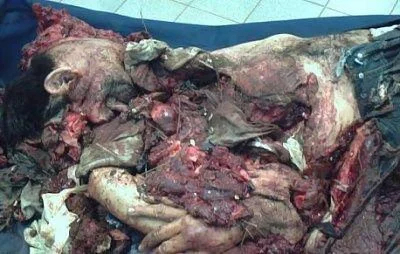 Man involved in horrific car accident