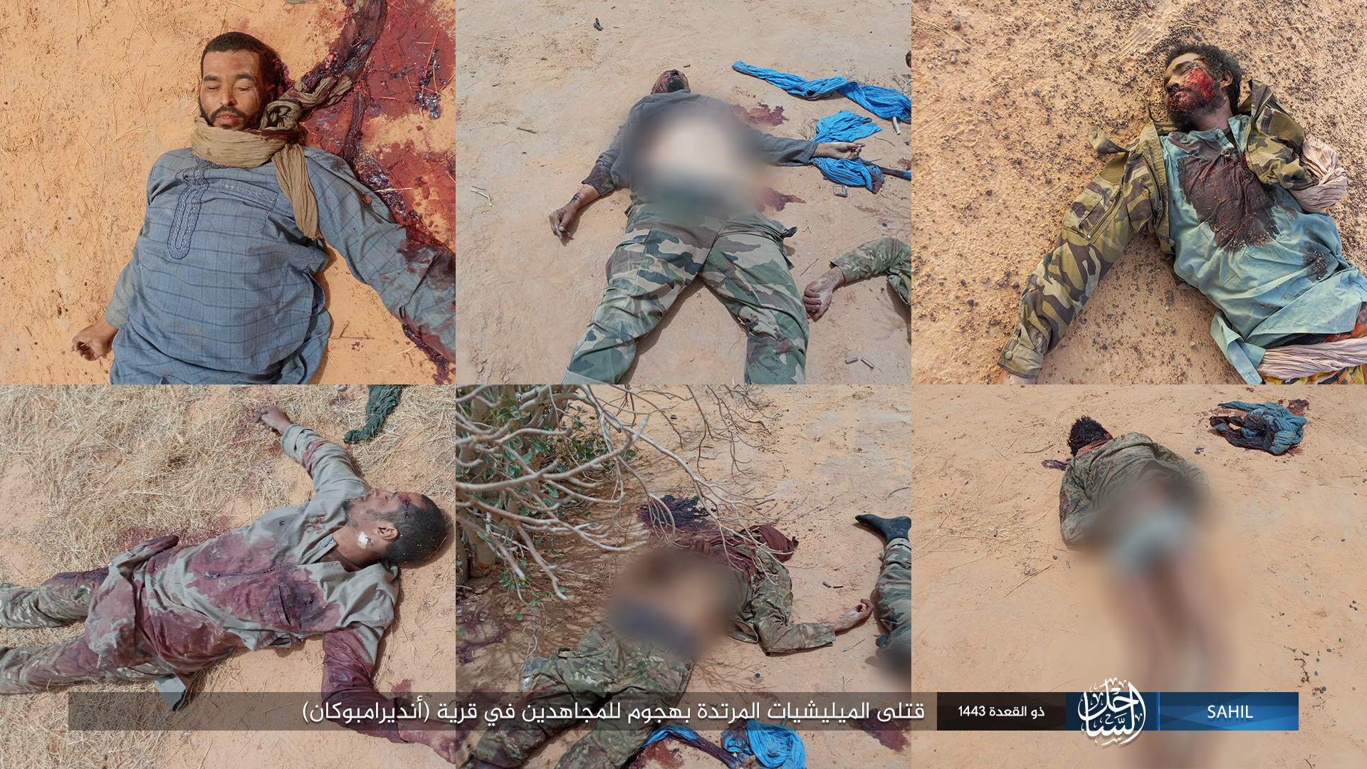 Islamic State in the Greater Sahara Kill Apostate Militias in Mali