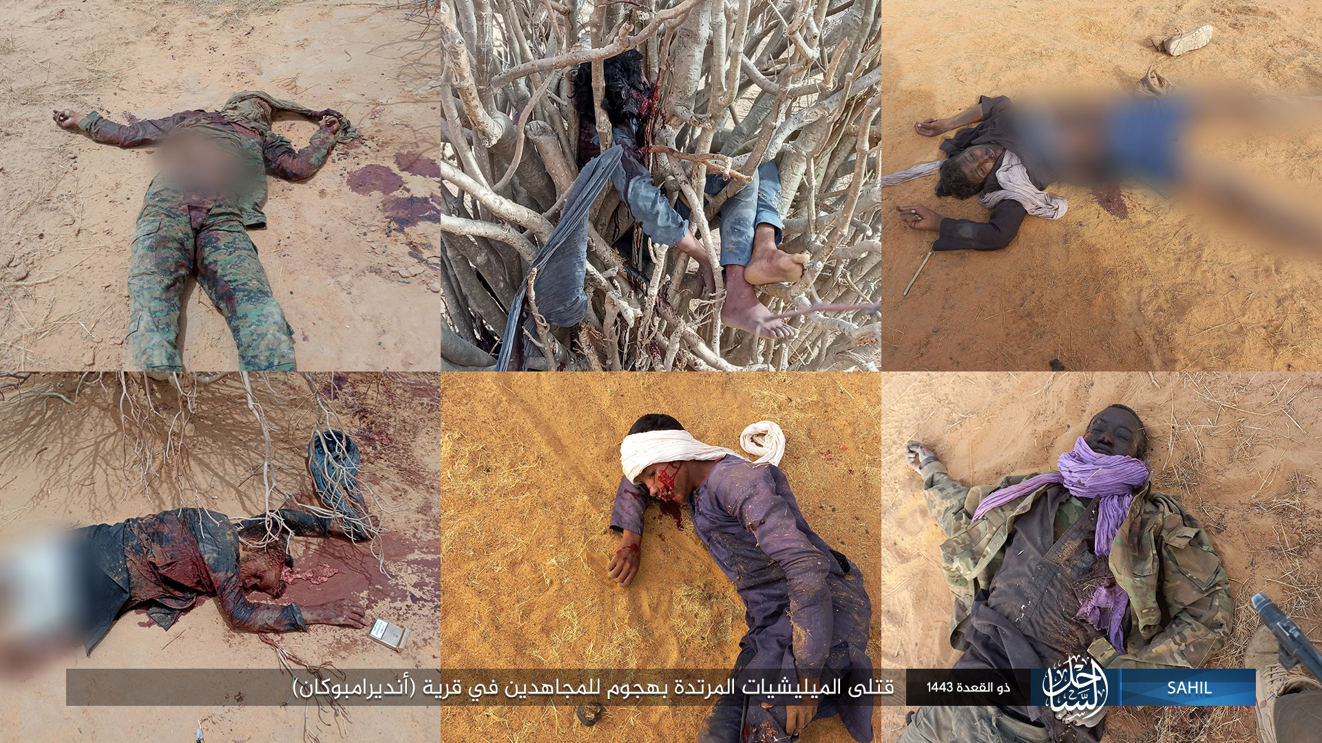 Islamic State in the Greater Sahara Kill Apostate Militias in Mali