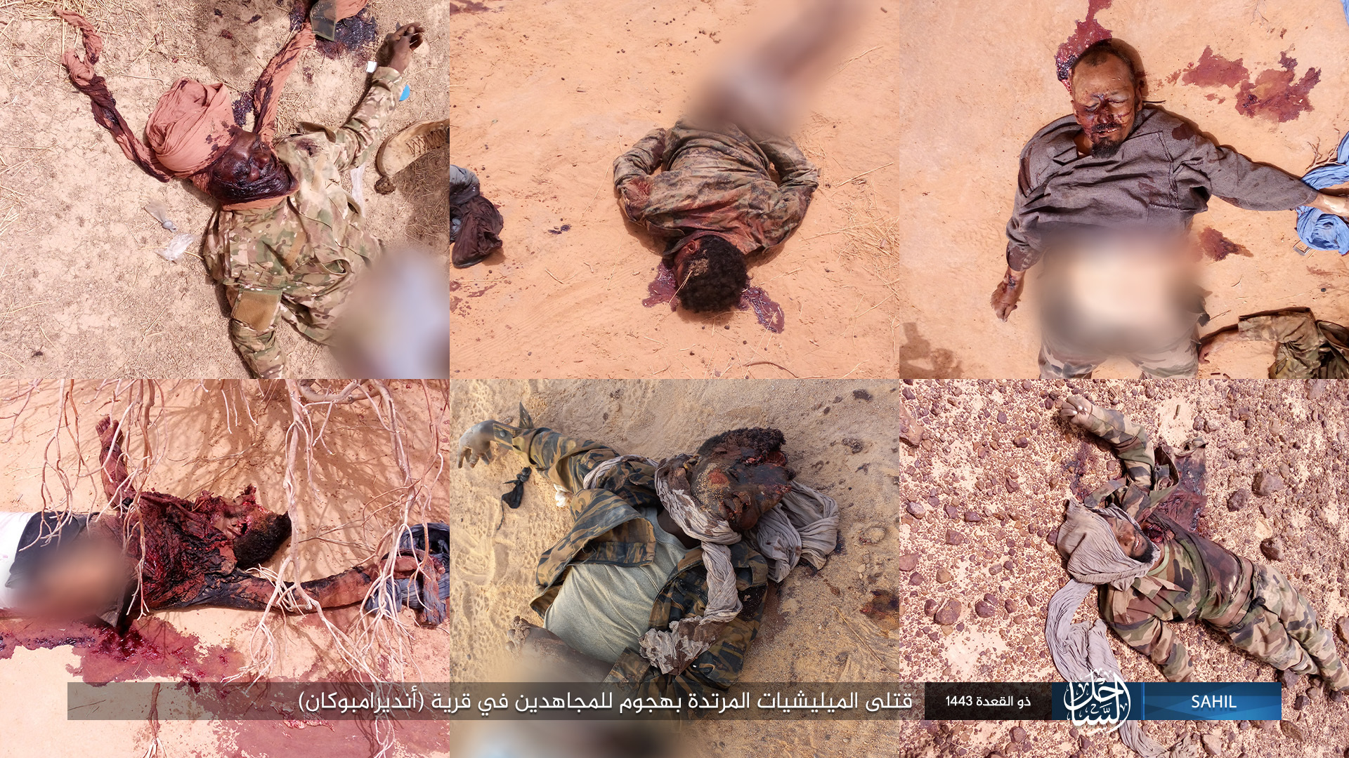 Islamic State in the Greater Sahara Kill Apostate Militias in Mali