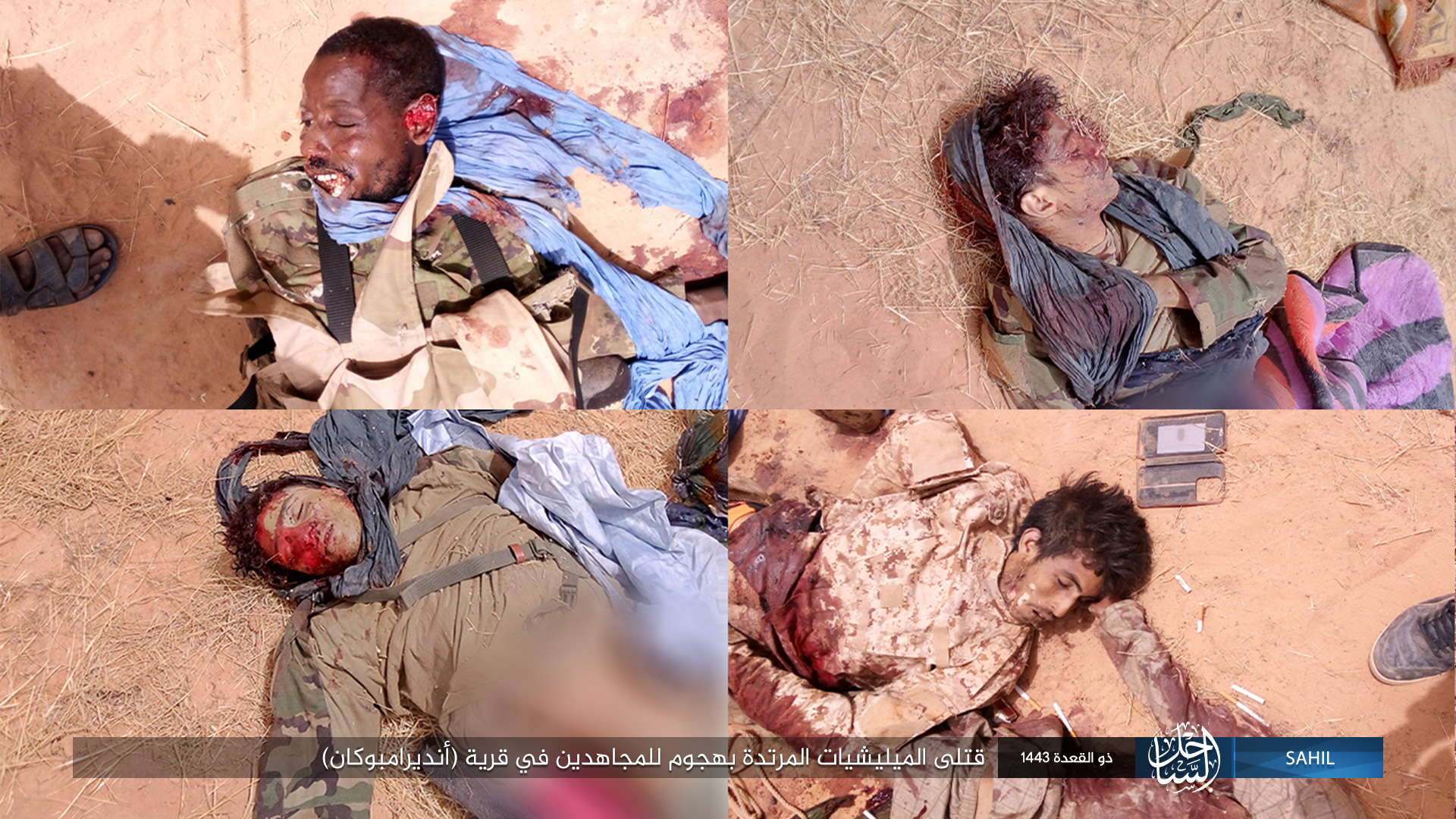 Islamic State in the Greater Sahara Kill Apostate Militias in Mali