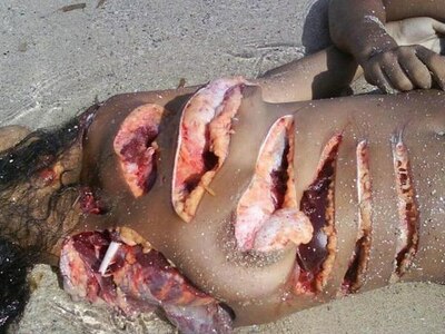 Brutal accident on the beach