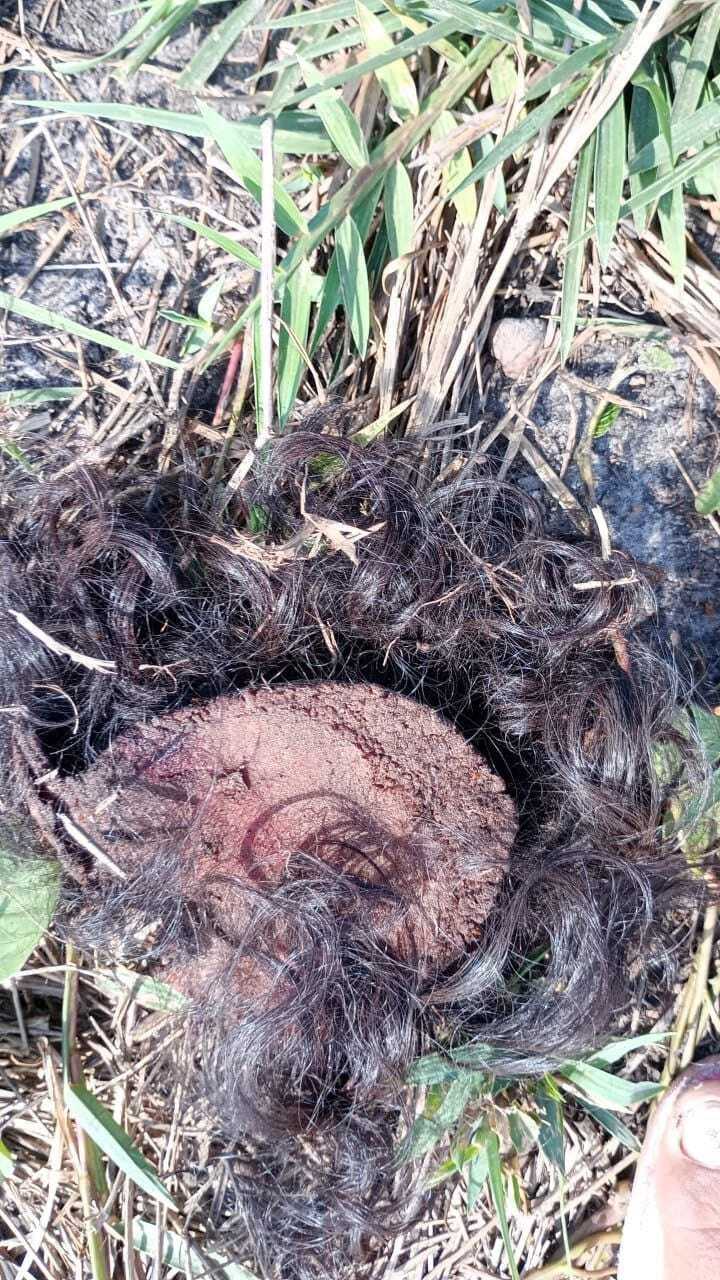 DAMN: Murdered Woman Found with Face Removed