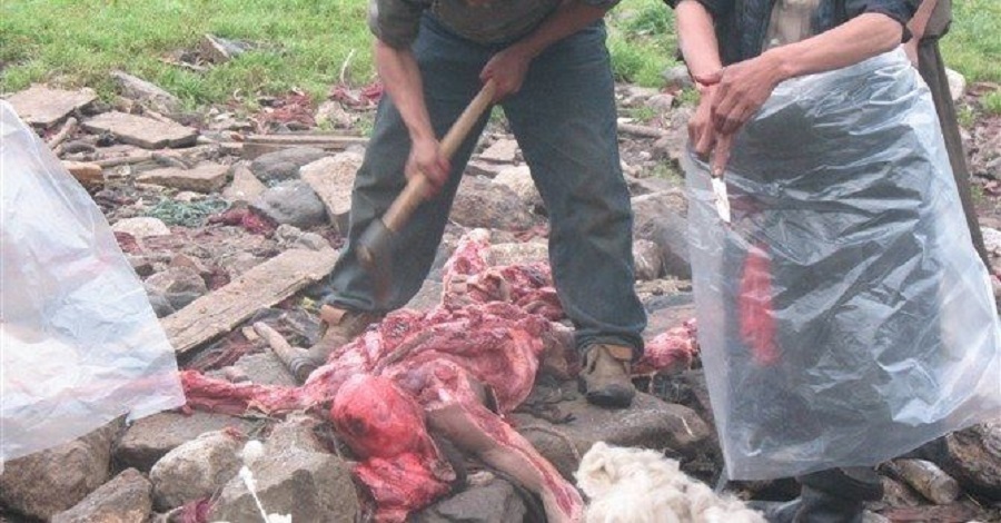 Tibetan Funeral Service Prepares Lunch for Vultures