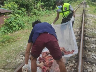 He Tried To Outrun The Train