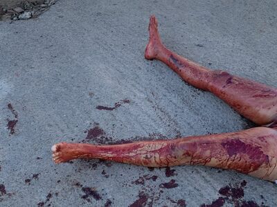 Girl killed by boyfriend.