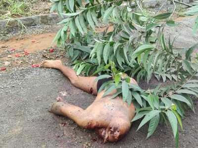 Murdered and dismembered by rivals