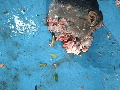 Drug dealers are eliminated