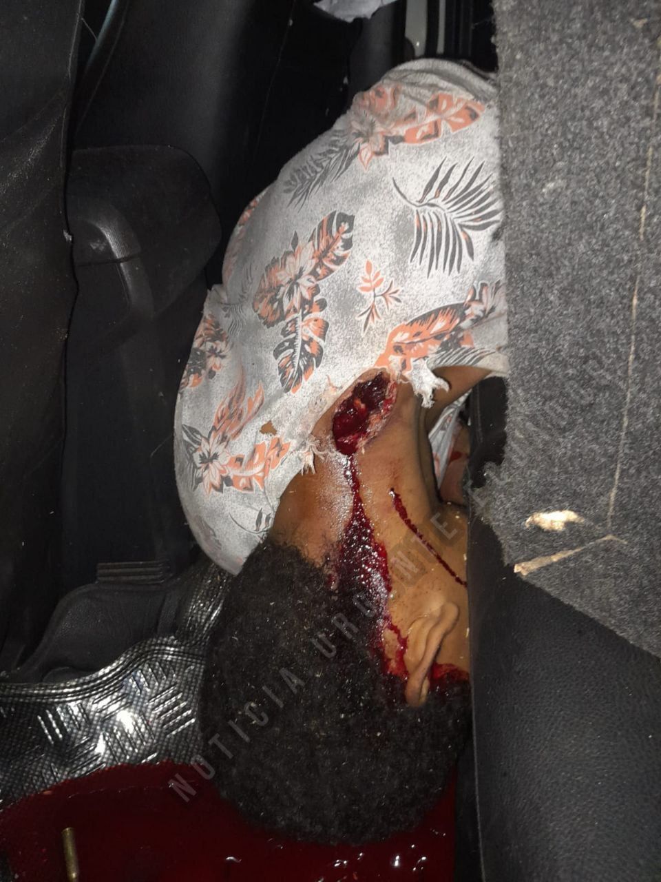 RANDOM GORE PICTURES FROM MURDER TO SUICIDE