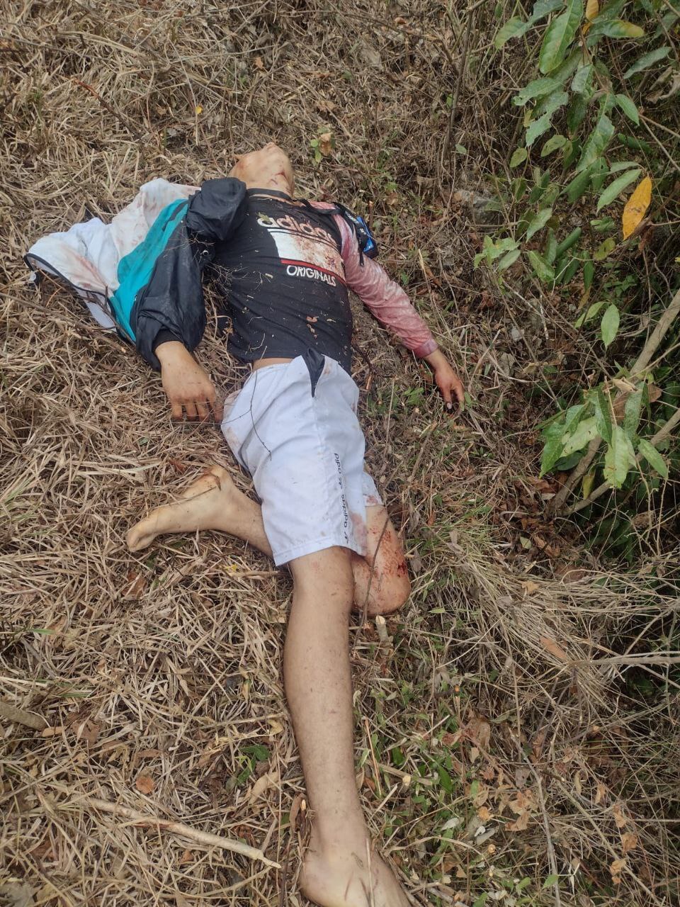 RANDOM GORE PICTURES FROM MURDER TO SUICIDE