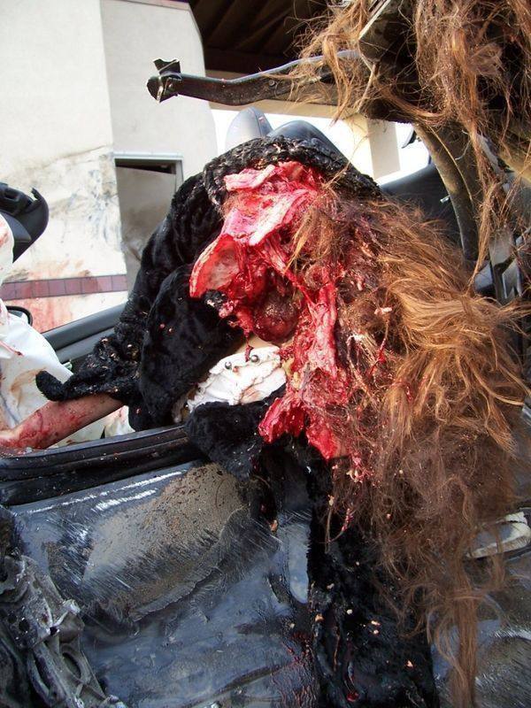 NEW....Sexy Dead Women Pic Drop Compilation