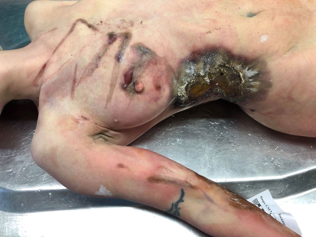 NEW....Sexy Dead Women Pic Drop Compilation