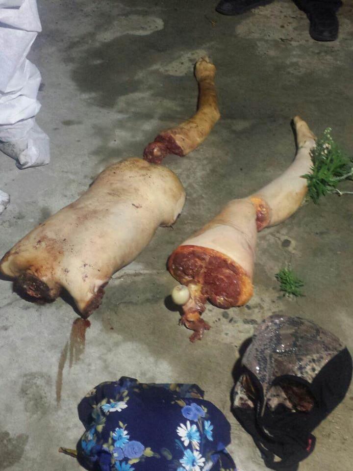 ¿¿¿¿ MEGA GORE PICTURES DROP ¿¿¿¿