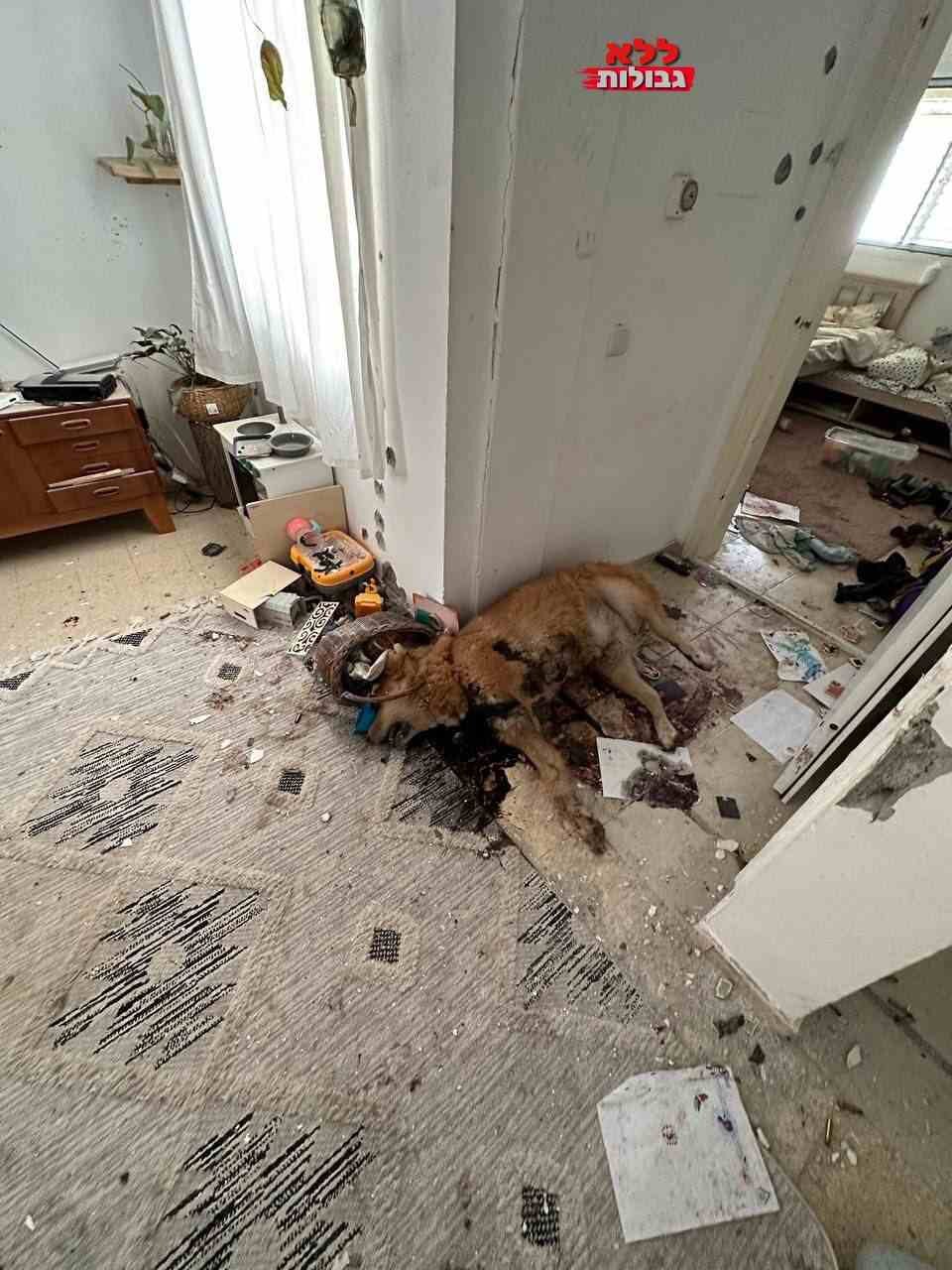 Little bit of what Hamas fighters left behind in Israel