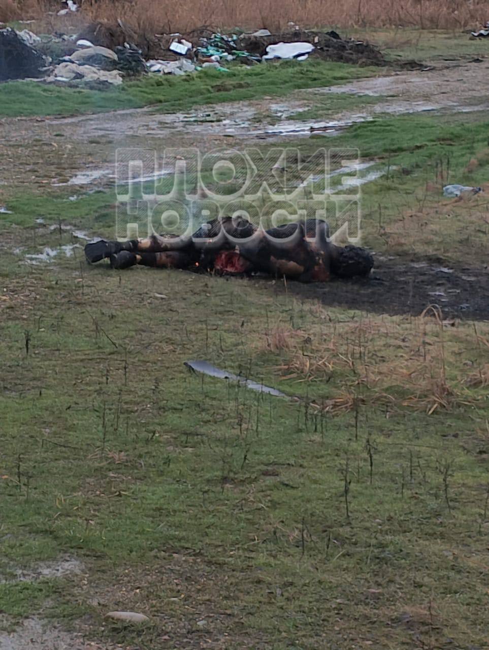 Woman raped and burned