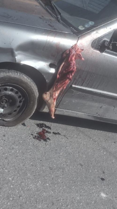 What the actual fk…