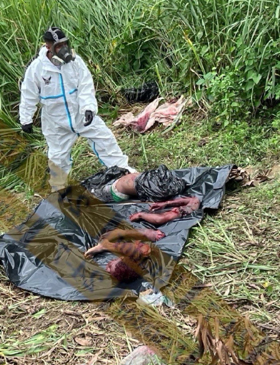 Dismembered Grim Find