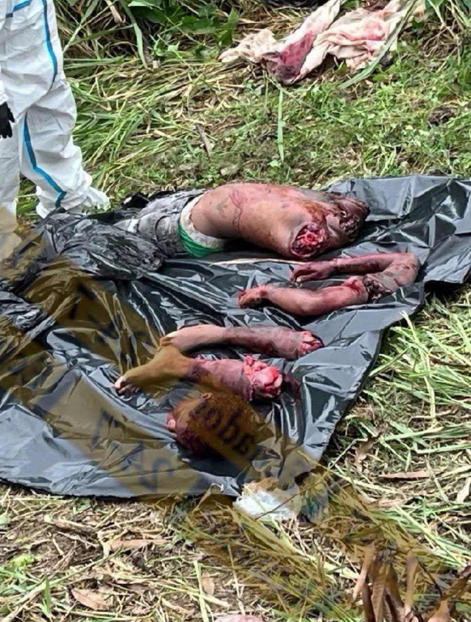 Dismembered Grim Find