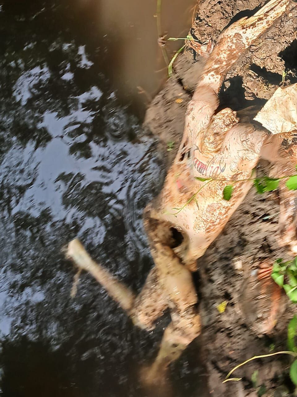 25-Year-Old Man Gets Found Killed On Right Side Of River (More Photos)