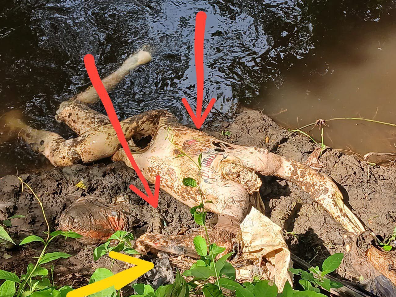 25-Year-Old Man Gets Found Killed On Right Side Of River (More Photos)