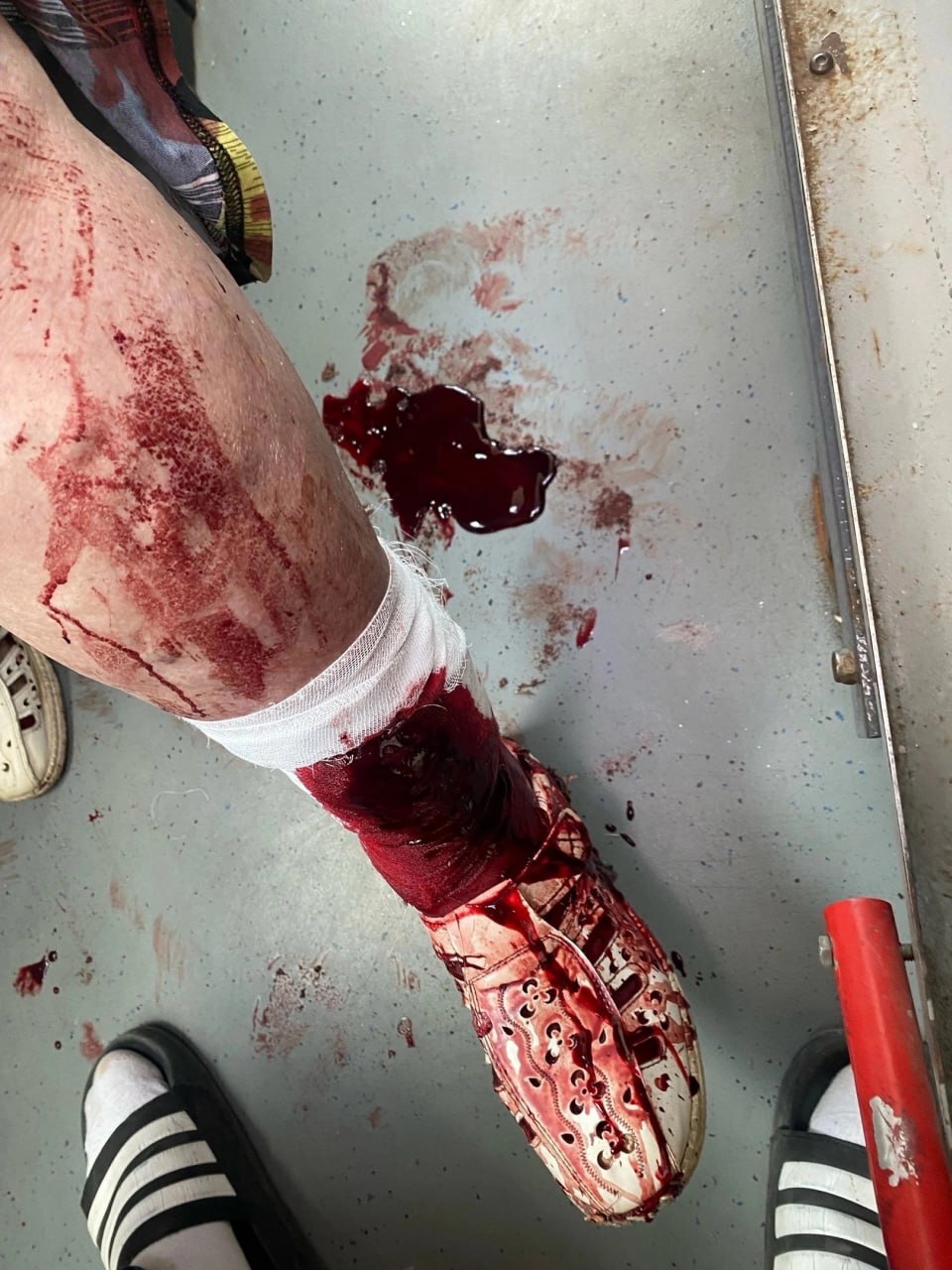 Don't Trust Stray Dogs