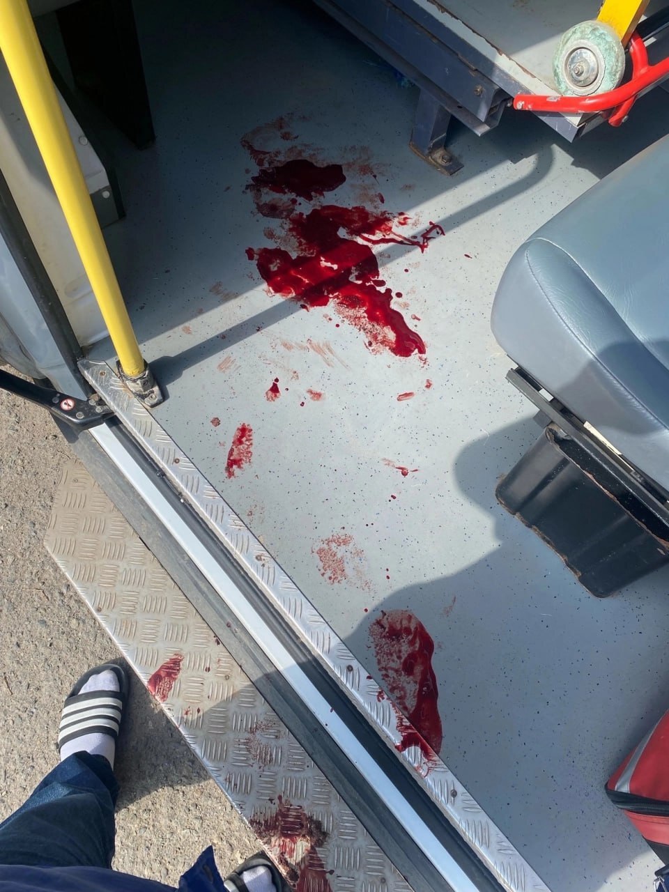 Don't Trust Stray Dogs